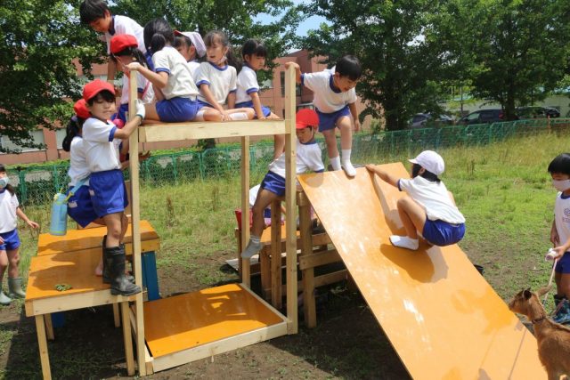 アスレチックで一緒に遊ぼう 上越教育大学附属小学校 新潟県上越市