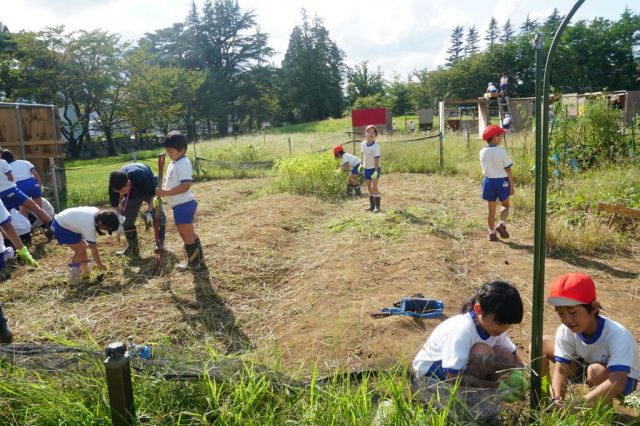 畑を耕す 上越教育大学附属小学校 新潟県上越市