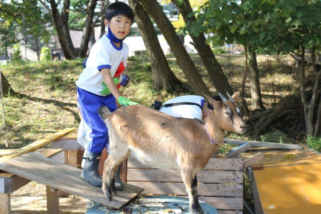 大チョコがあそんでくれたよ 上越教育大学附属小学校 新潟県上越市